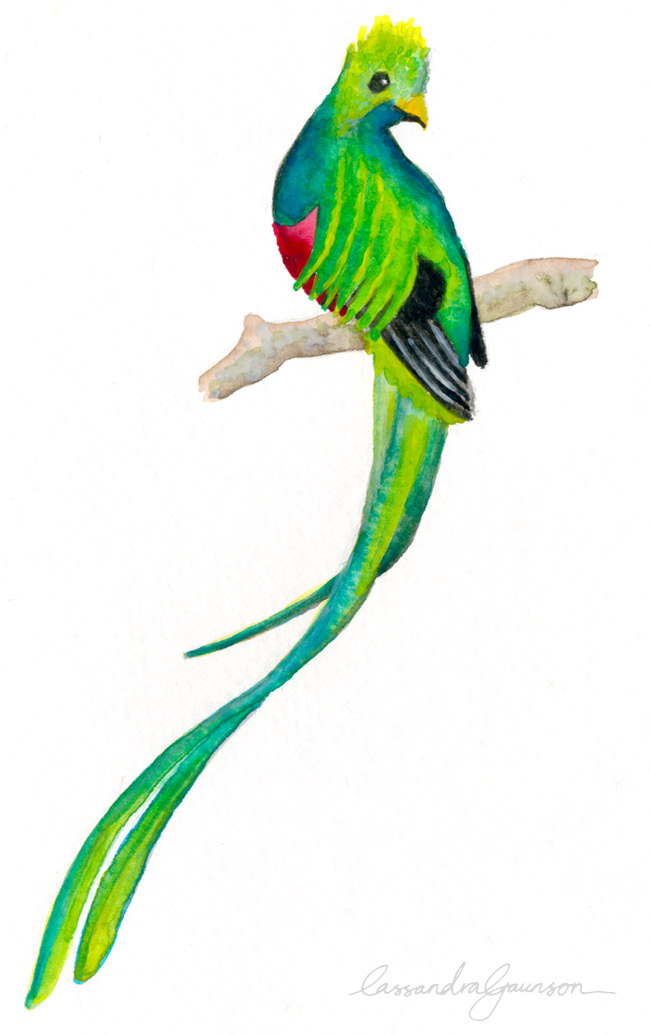 quetzal_2